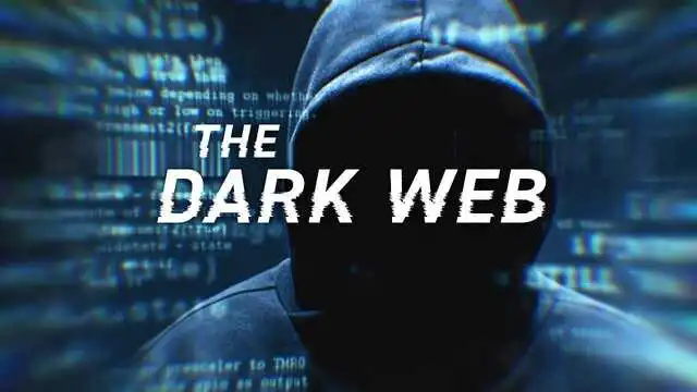 supermarket darknet supermarket darknet link - about company